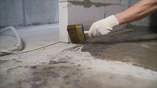 SJ Waterproofing Pros Waterproofing coverage map for Amboy, IL and surrounding area